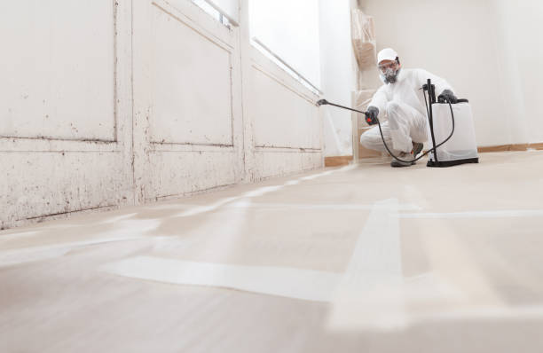 24/7 Emergency Basement Mold Remediation experts in Columbia, PA