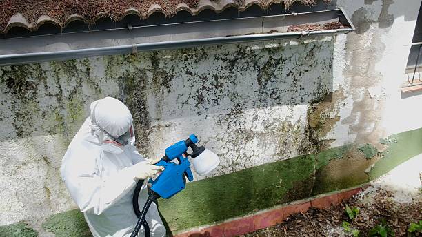 Trusted Bathroom Mold Removal service in Columbia, PA - Cheap Mold Removal